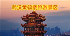 啊啊啊疼好湿的视频