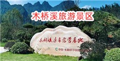 艹屌网站